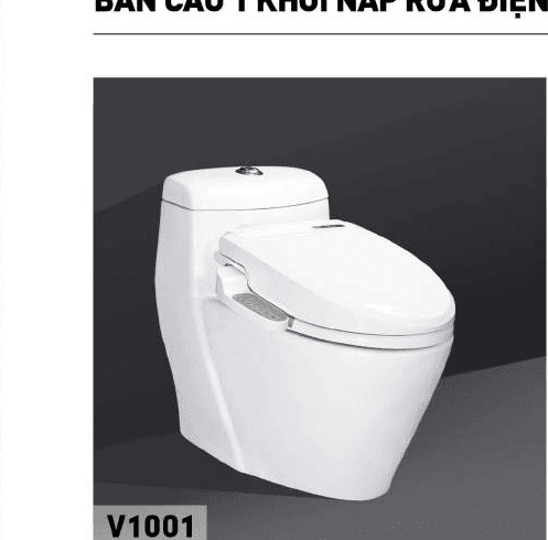 One-Piece Bidet Toilet